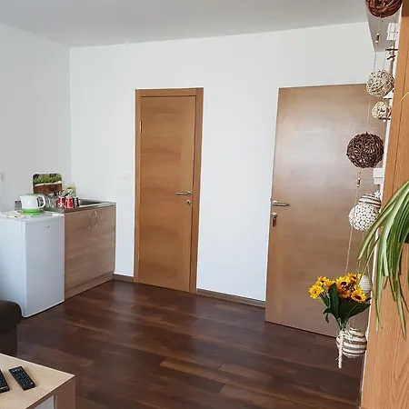 Vils Aparts Apartment *